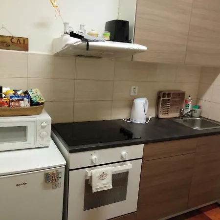 Apartment Husitska 114/74 *