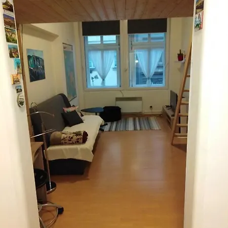 Apartment Husitska 114/74